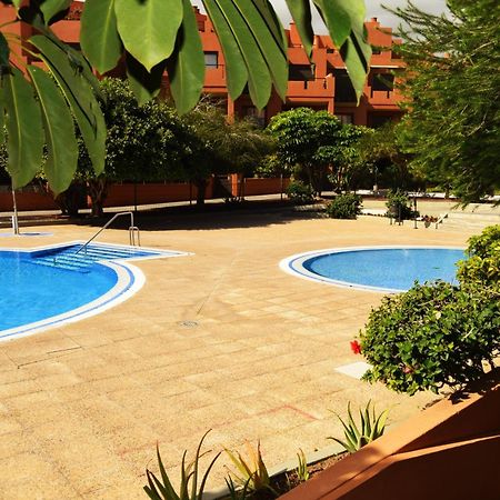 Alquilaencanarias El Medano Sotavento, Great Terrace And Beach Exterior foto