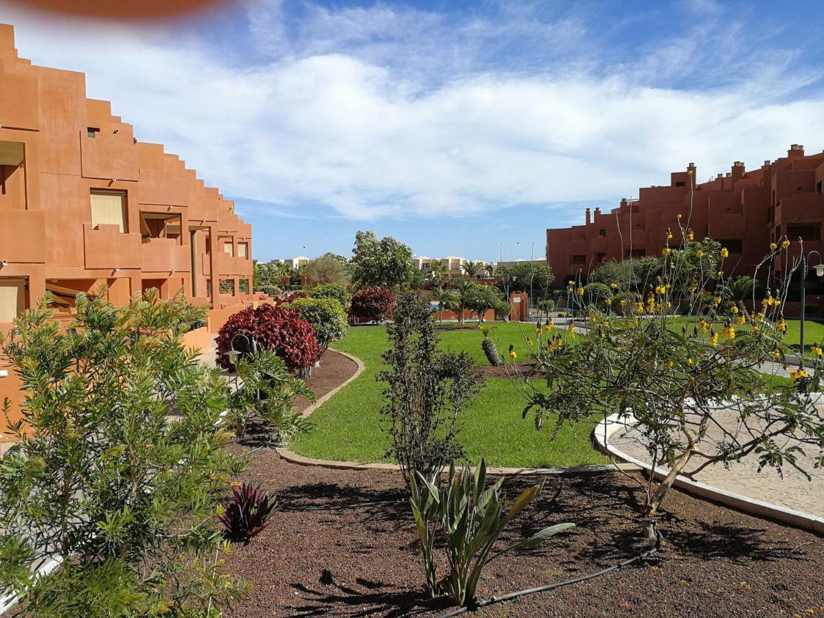 Alquilaencanarias El Medano Sotavento, Great Terrace And Beach Exterior foto